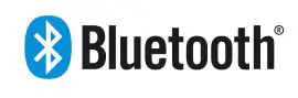 Bluetooth Logo