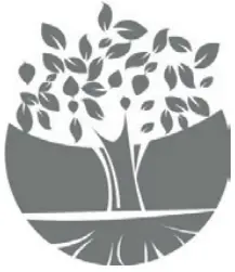 GRUNDIG HS 6532 Touch Control Ionic Hair Styler - Symbol