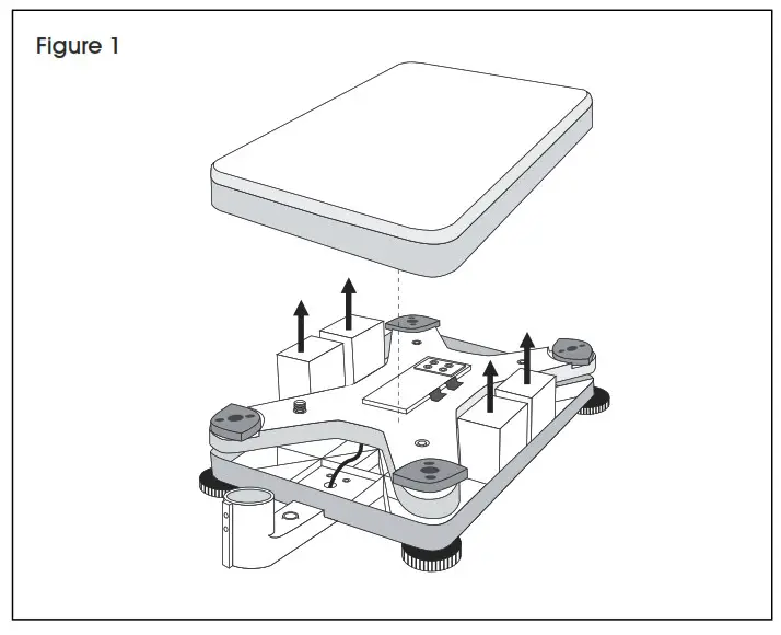 ULINE Industrial Platform Scale Figure 1