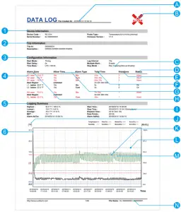 Report - The first page
