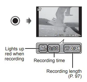 OLYMPUS Digital Camera Instruction Manual - Recording movies