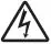 OLYMPUS Digital Camera Instruction Manual - Warning Risk of Electric Shock Icon