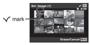 OLYMPUS Digital Camera Instruction Manual - individually select and erase images