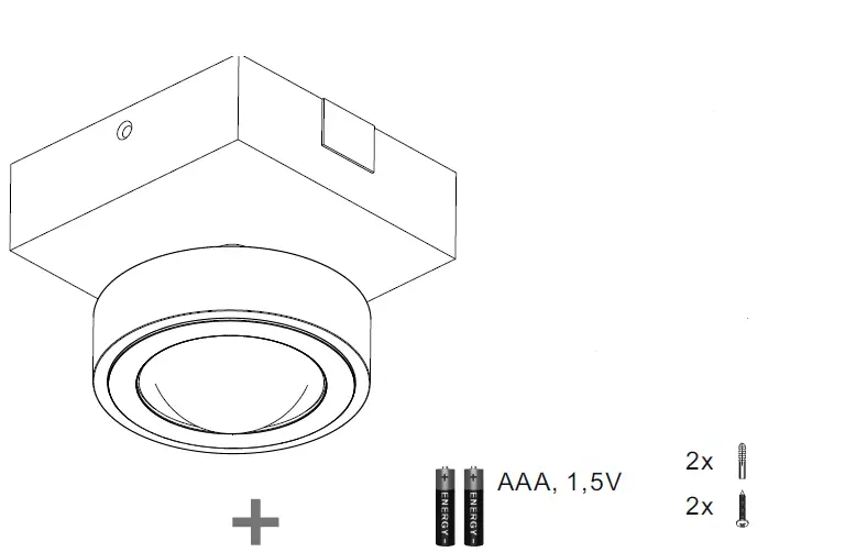 Paul Neuhaus 9186-55 Ceiling Light- (2)