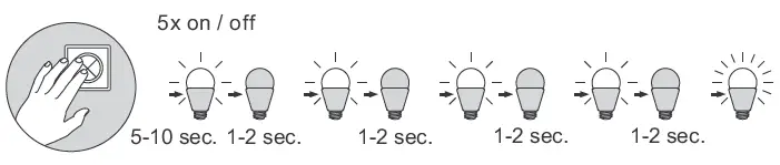 Paul Neuhaus 9186-55 Ceiling Light- (6)