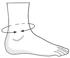 ottobock 50S5 Malleo Sensa Bock Active Stabilisation of the Ankle - 2