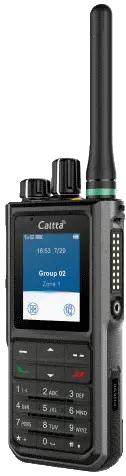 Caltta DH460Digital Portable Radio-FIG1