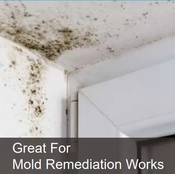 Mold Remediation Works
