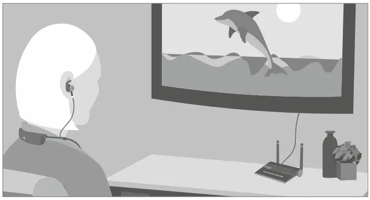 Wear Hear HearLink Plus BT5805A - ASSISTANCE