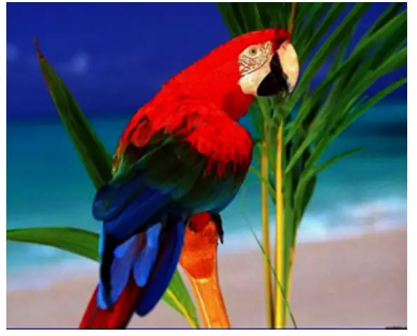 Microsemi UG0938 Gamma Correction - FIG 13