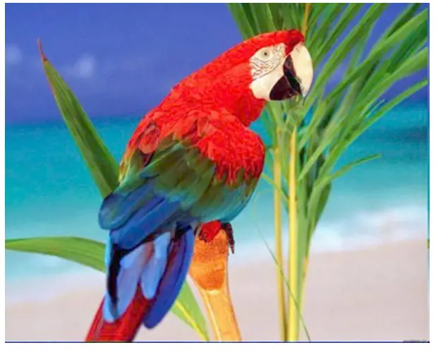 Microsemi UG0938 Gamma Correction - FIG 15