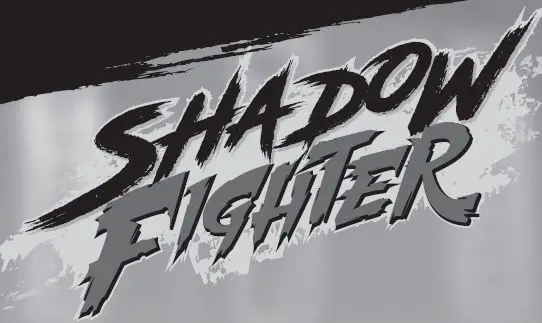 Shadow Fighter