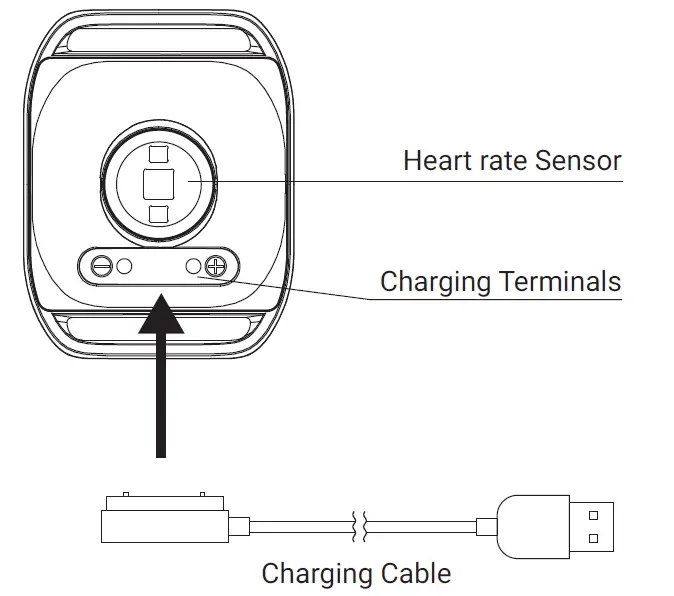 VORTEC B08CT17L4J ANT+ and BLE Heart Rate Armband-fig3