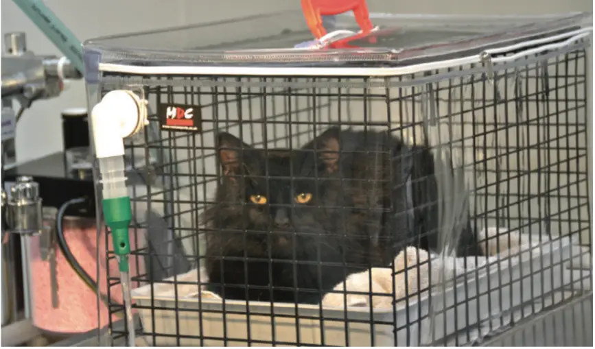 JorVet J1509 Smart Oxygen Cage - INSTRUCTIONS FOR