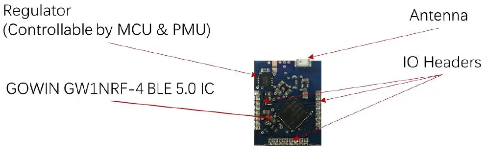 GOWIN DK-BLE-CEIT-ASSEM Development Kit 1