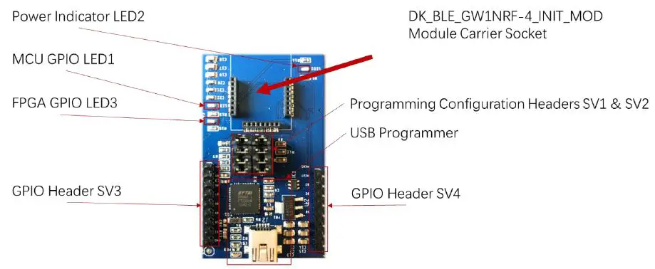 GOWIN DK-BLE-CEIT-ASSEM Development Kit 2