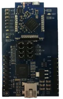 GOWIN DK-BLE-CEIT-ASSEM Development Kit pro