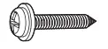 ST4.2x20 Screw