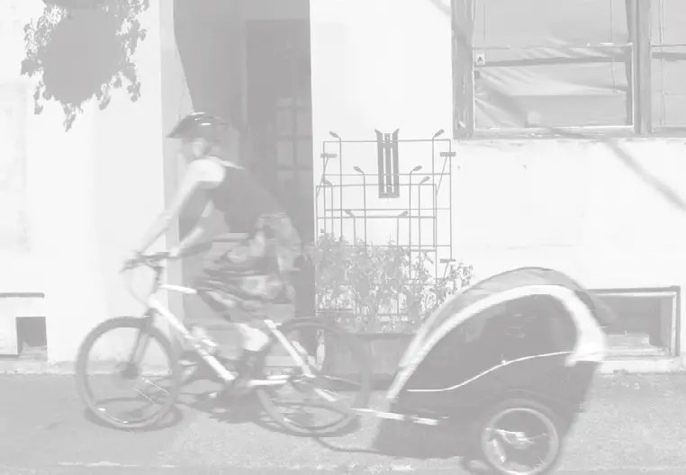 BURLEY Cub X2 Seat Kids Bike Trailer & Stroller