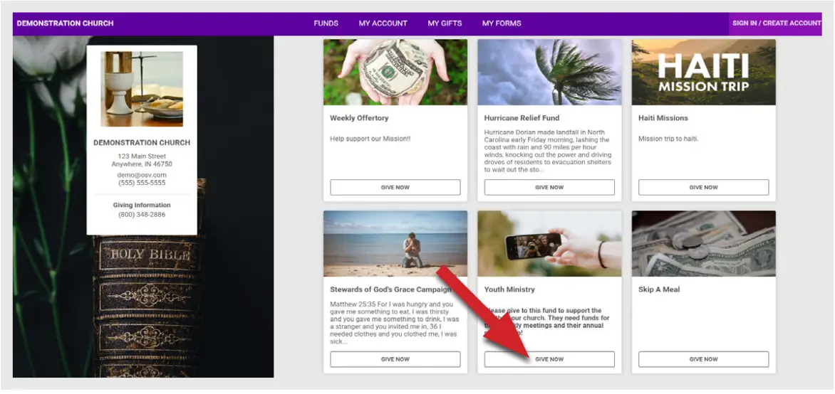 Software s ONLINE GIVING Software