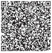 BRAYER-BR3305-Multistyler-FIG-1