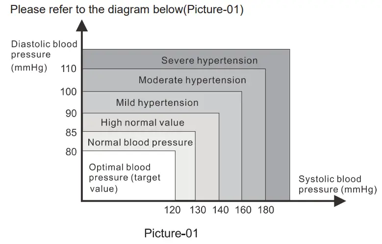 BINTOI BX300 Fully Automatic Upper Arm Blood Pressure Monitor - Fig 1