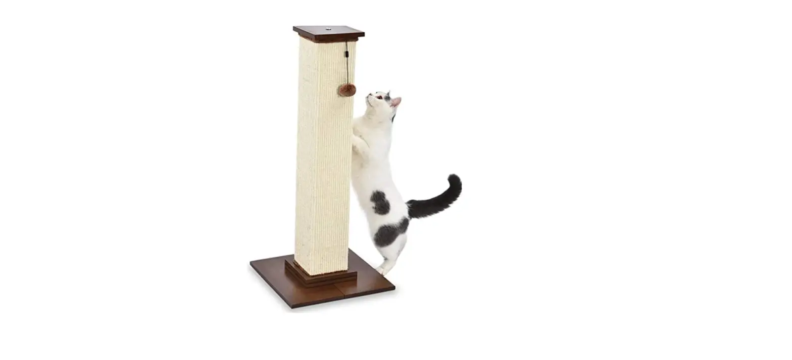 Amazon Basics B07g3t7dvm Premium Tall Cat Scratching Post User Guide