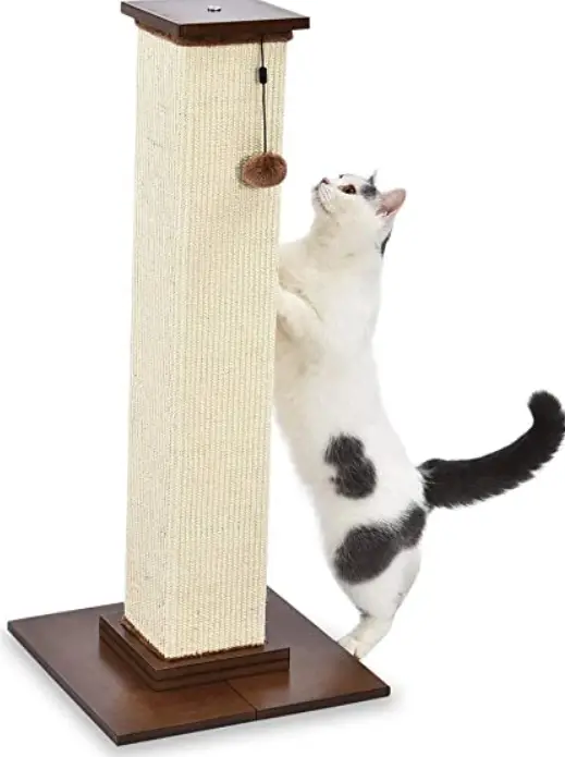 amazon-basics-B07G3T7DVM-Premium-Tall-Cat-Scratching-Post-PRODUCT