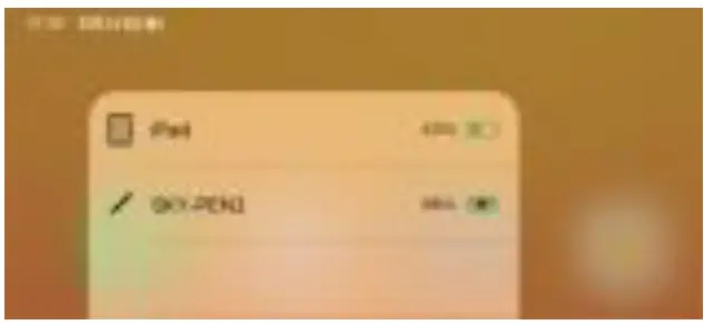 pinkcat SKY-PEN2 Dual Mode Charging Magnetic iPad Charging Stylus Pen - display