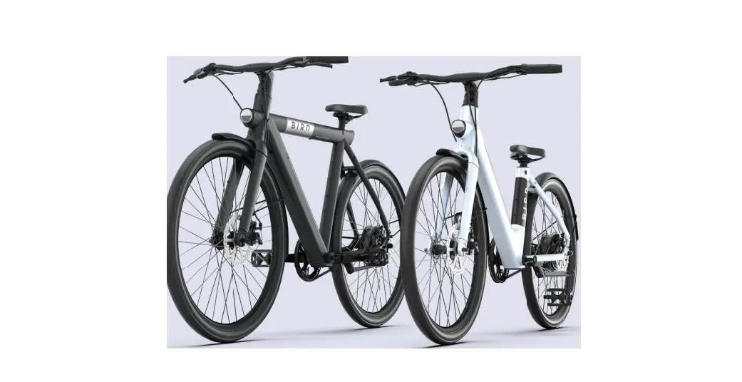 Bird Bike A-frame And V-frame High-performance Ebikes User Manual