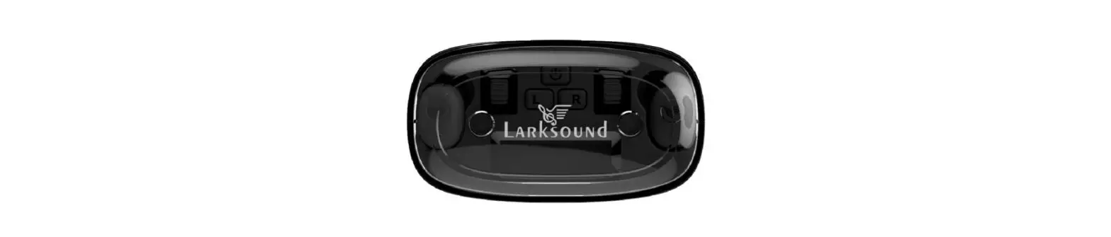 Larksound Zt2111 Hearing Amplifier User Manual