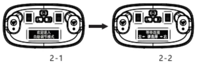 LARKSOUNd ZT2111 Hearing Amplifier - figure 2