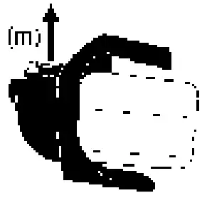 Max. transport height