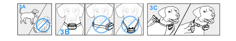 Petrainer-PET619A-Dog-Training-Collar-Fig-9