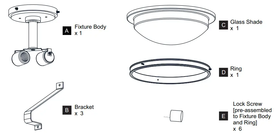 QUOIZEL-QSF5581WS-Elderwood-Semi-Flush-Mount-FIG-2