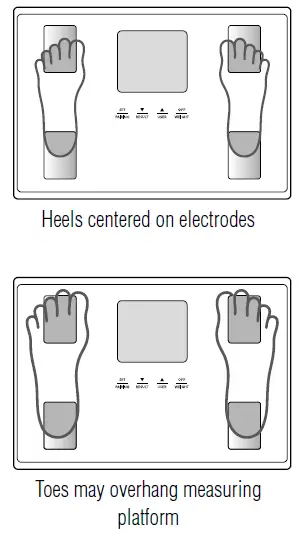 tanita bc-401 body composition monitor-3