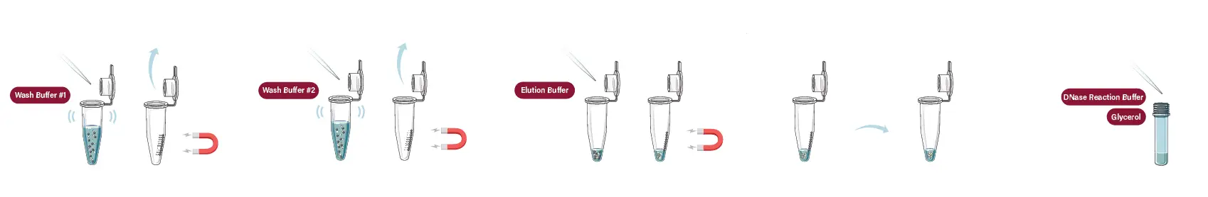 GALENVS-magneti-Plant-RNA-Extract