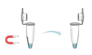 GALENVS-magneti-Plant-RNA-Extraction-Kit-User-Guide-fig-5