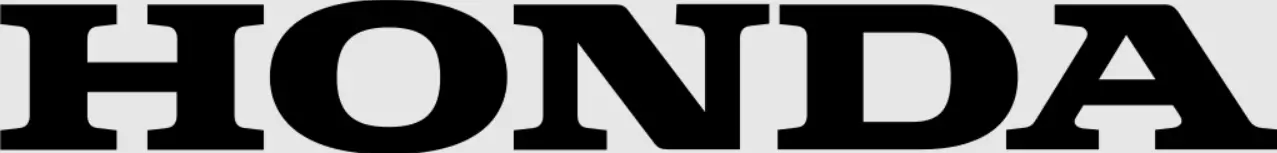 HONDA-326796-Pioneer-500-Roof-logo