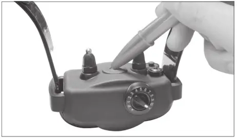 dogtra YS600 Rechargeable Waterproof High Performance Barkless Collar - TESTING THE YS600