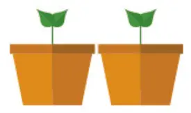 Planting Instructions