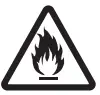 Fire icon