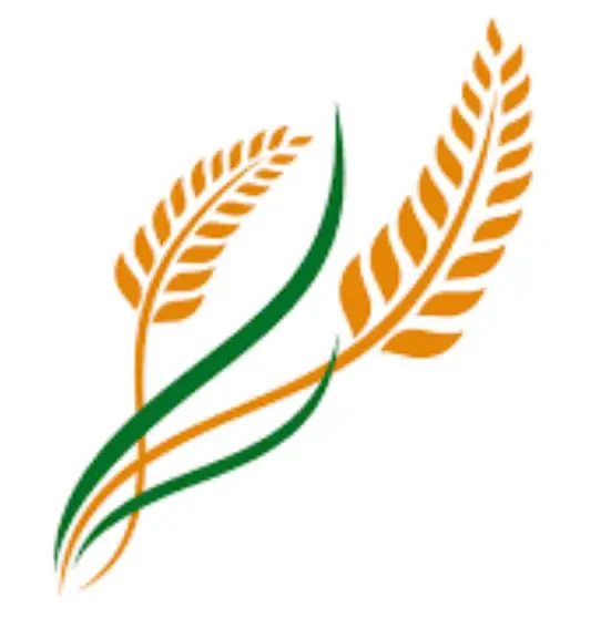 RICE LAKE 880 Performance Series Weight Indicator and Controller LOGO