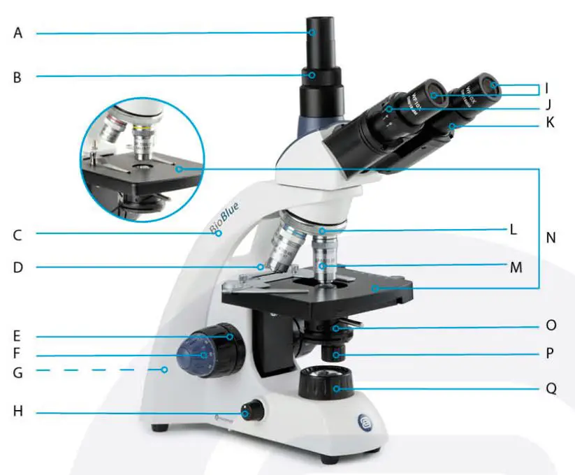 euromex-EC-005-EcoBlue-Monocular-Microscope-1