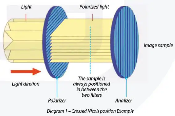 euromex-EC-005-EcoBlue-Monocular-Microscope-12