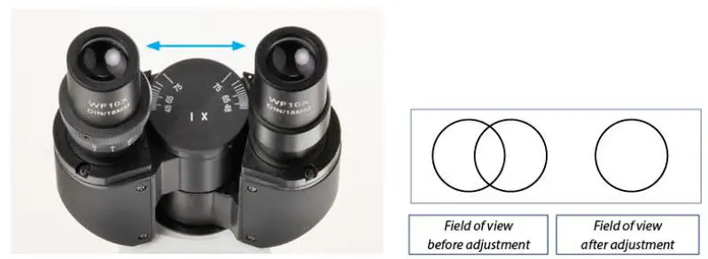 euromex-EC-005-EcoBlue-Monocular-Microscope-7