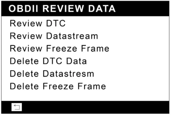 Review Data