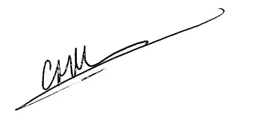 NEXO P15 Series P15 I Point Source Loudspeaker - sin