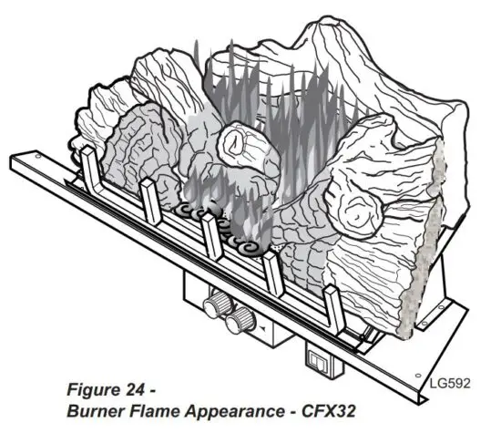 FIG 29 Burner Flame Appearance CFX32