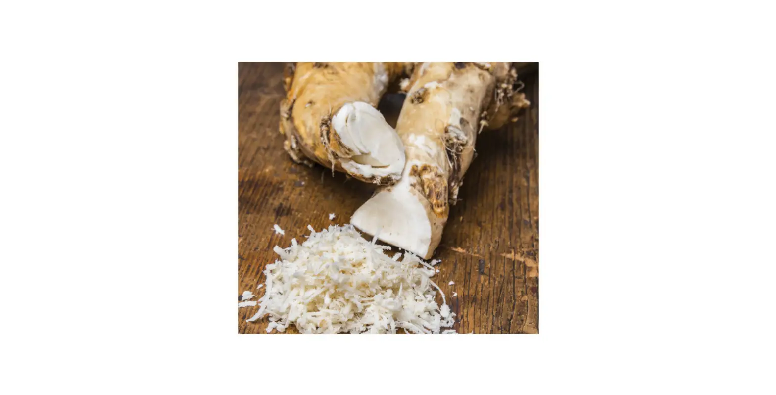 Van Zyverden 84555 White Horseradish Bulbs Bagged User Manual Van Zyverden 84555 White Horseradish Bulbs Bagged User Manual